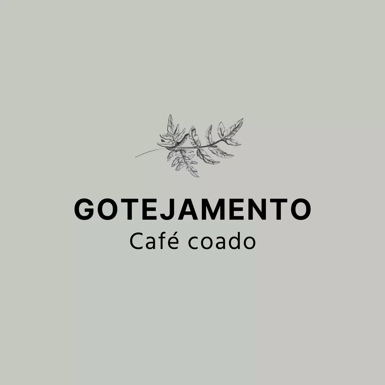 Conceito calmante de merchandising de cafetaria com ilustrações botânicas a preto, desenhadas à mão