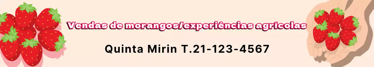 Experiência na Quinta de Morangos Bege