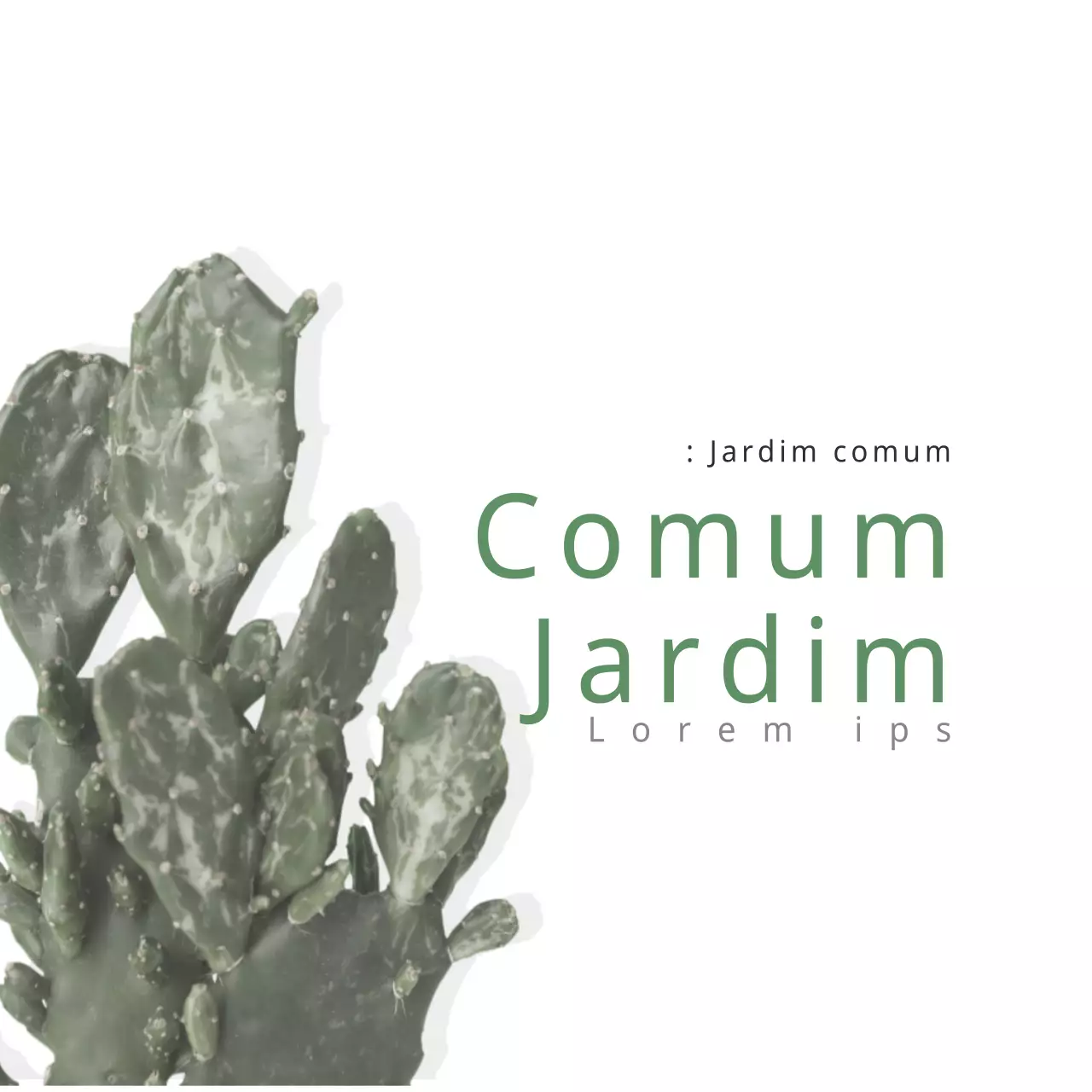 Jardim normal