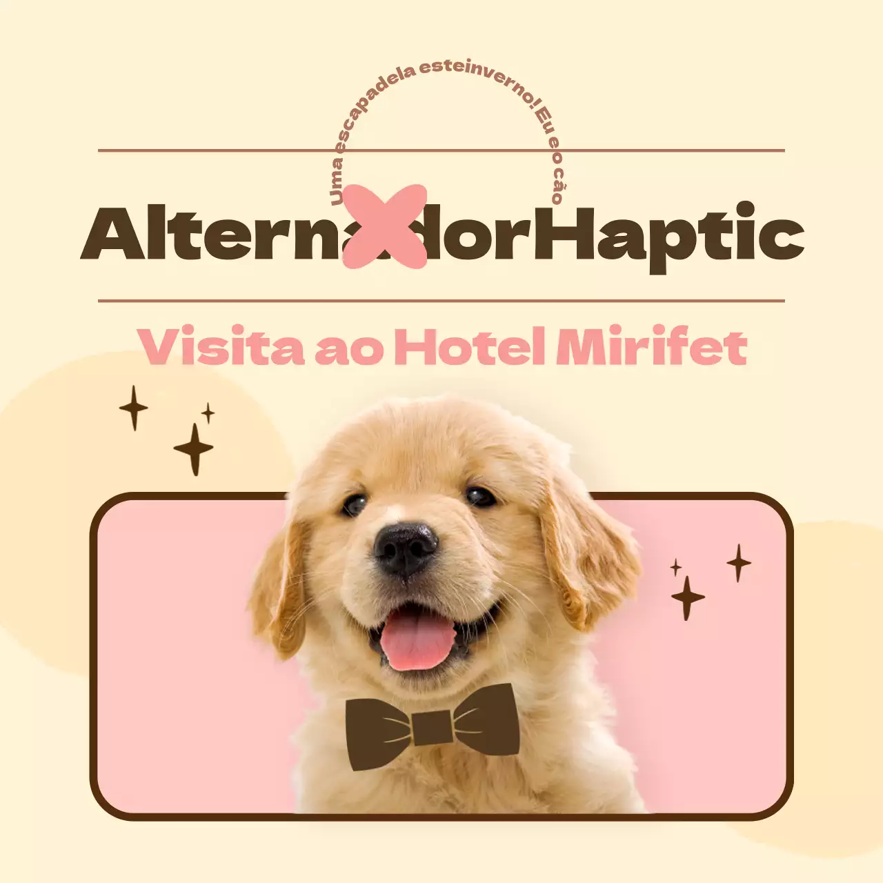 Promover um hotel para cães cor-de-rosa, quente e fofinho (CardNews)