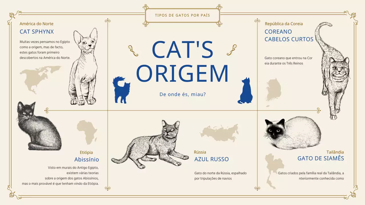 Fornecer informações sobre o gato clássico
