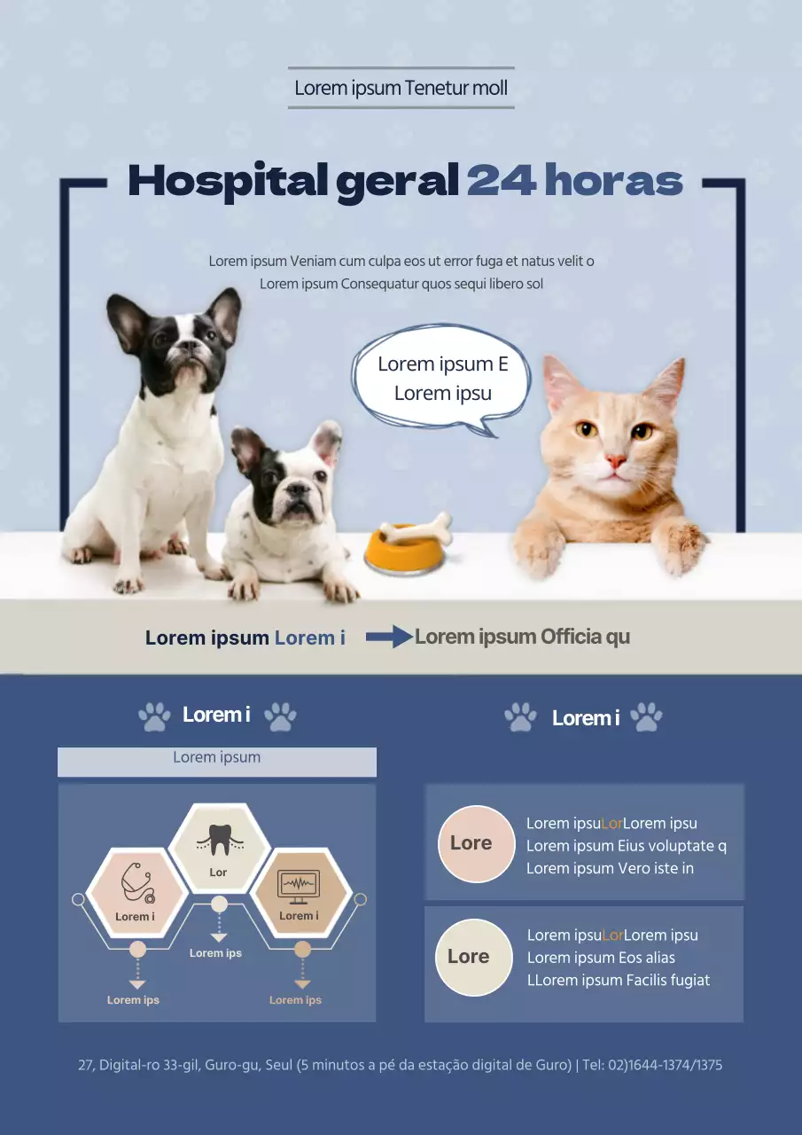 Boas notícias para os amantes de cães