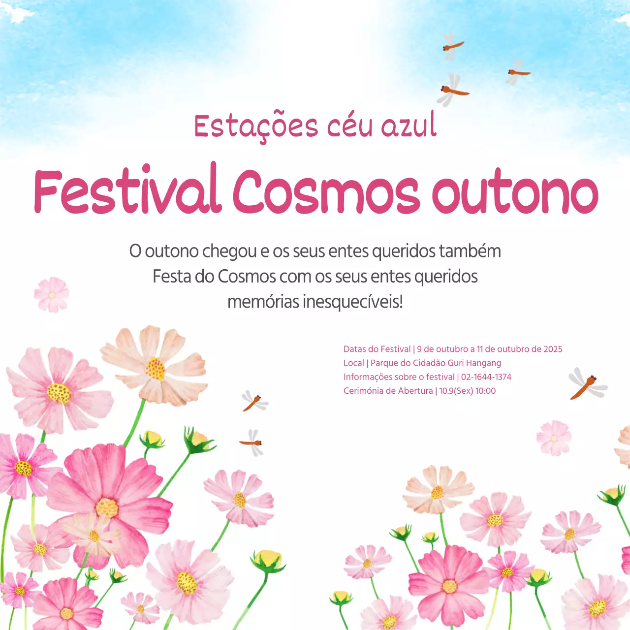 Festival Cosmos