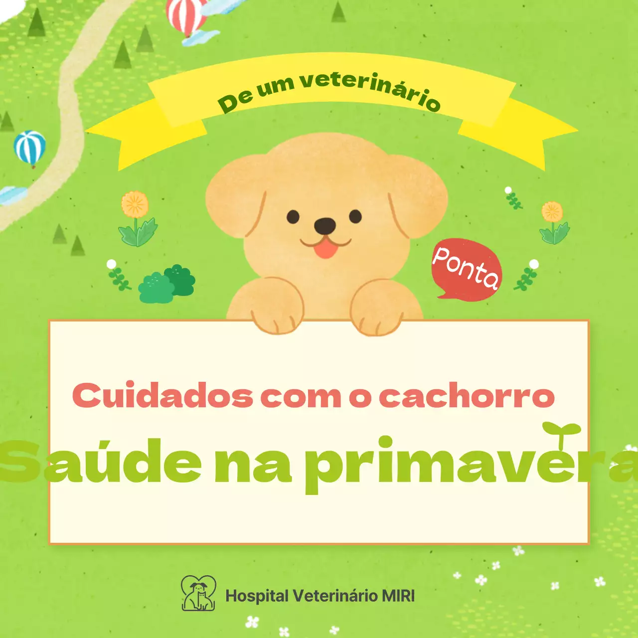 Conselhos de saúde na primavera para os cachorros de cor pastel