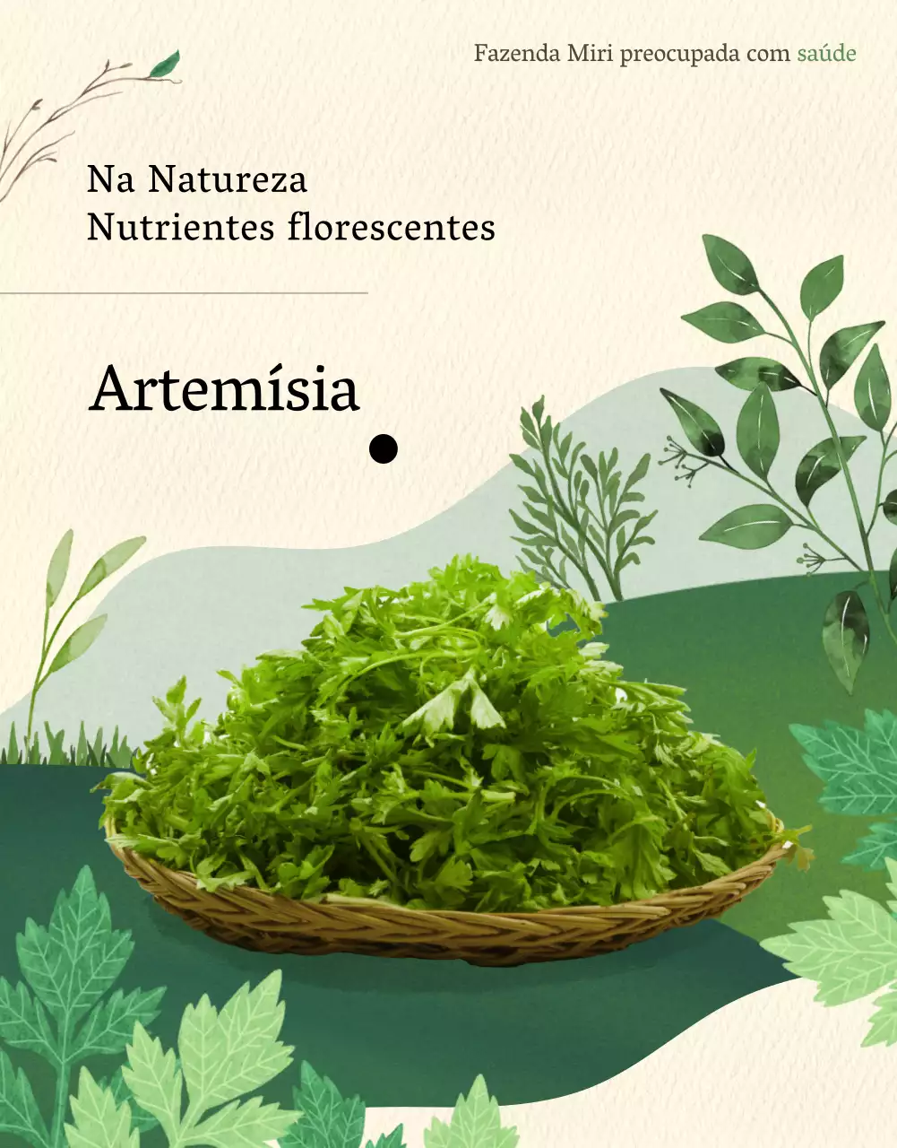 Marketing promocional de artemísia com ilustrações a aguarela sobre fundo verde e bege