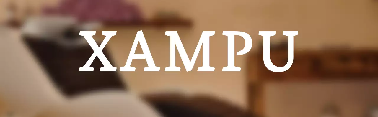 Instruções de texto para champô num estilo simples