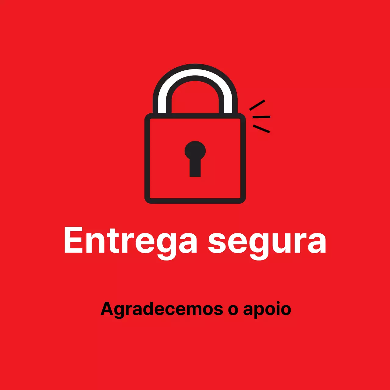 45194_Entrega segura