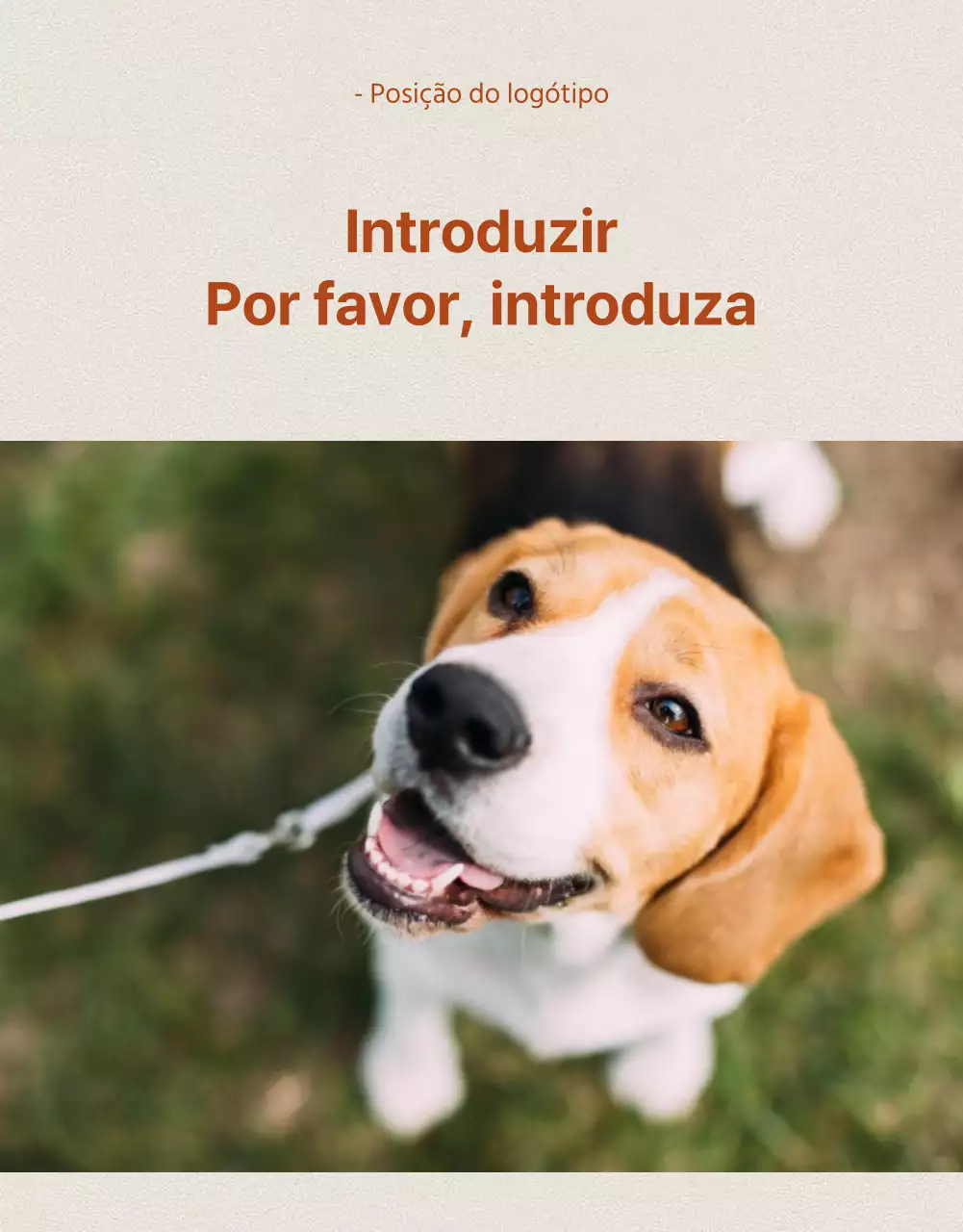 Ideias_Cão