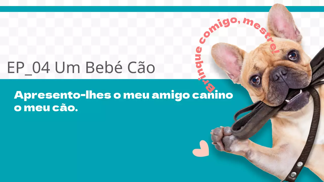 Canal do Cão