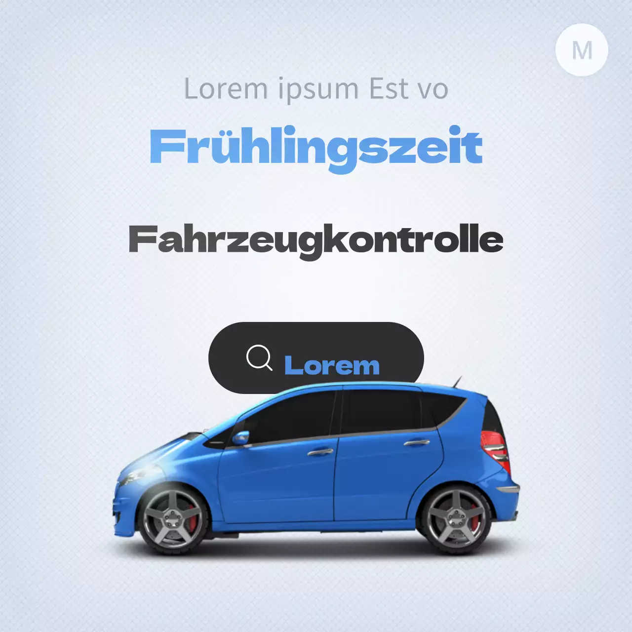 Fahrzeugkontrolle