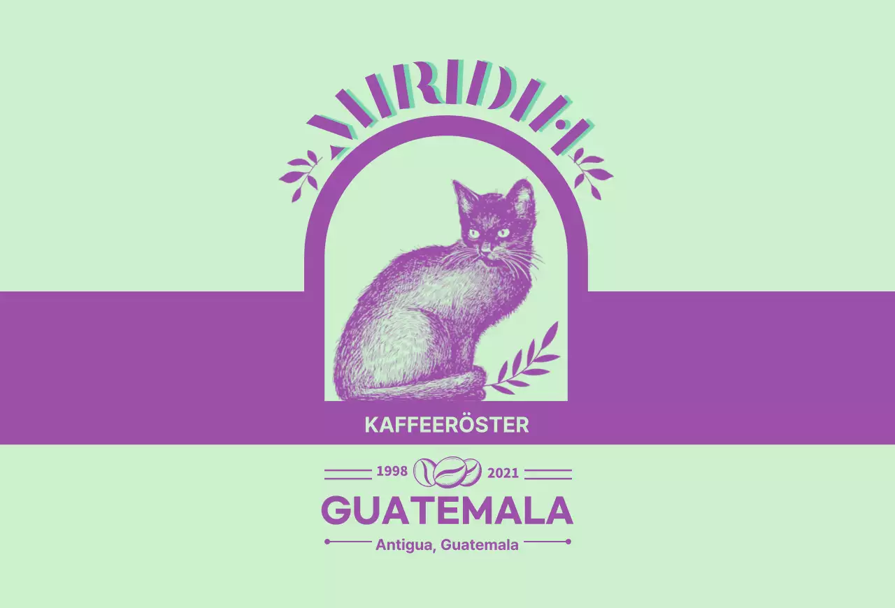 Ein Führer zu Kaffeemarken und -bohnen mit lindgrünem und lila typografischem Design3