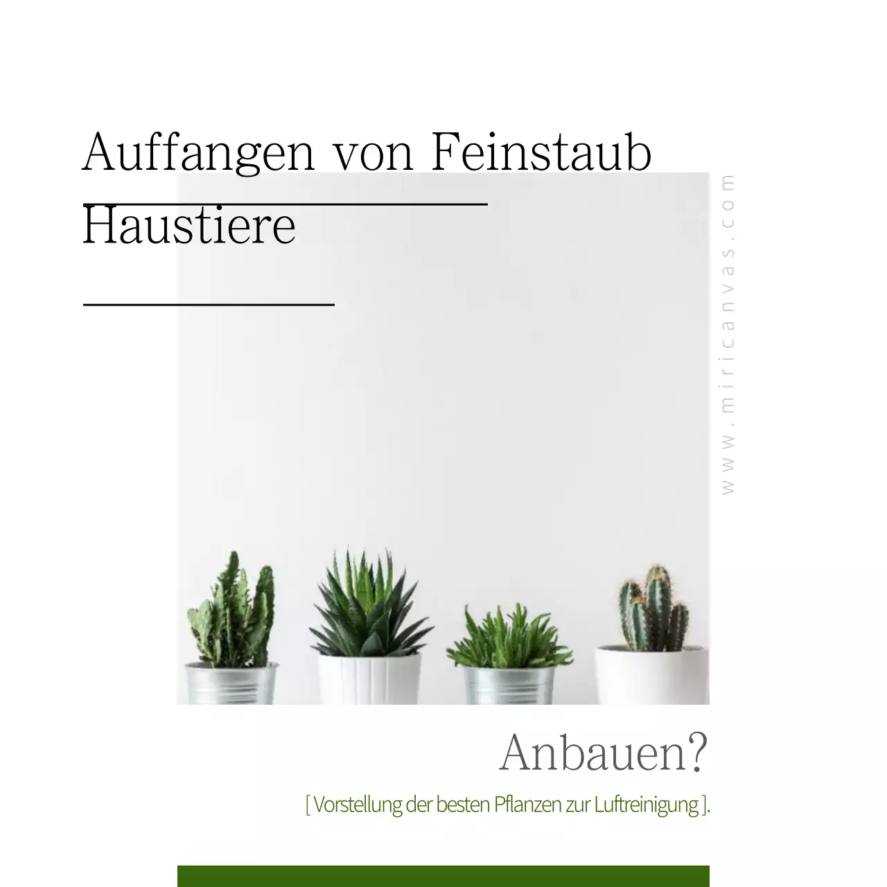 Haustiere, die Feinstaub auffangen