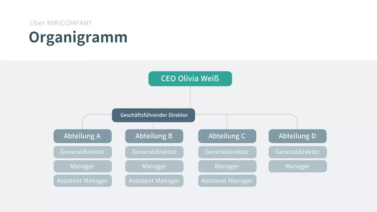 Präsentation des Geschäftsplans eines Unternehmens in navy