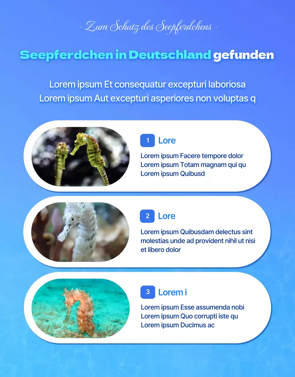 Seepferdchen, das bedrohte Meerestier im blauen, kühlen WasserDetails zur Finanzierung des Seepferdchenschutzes