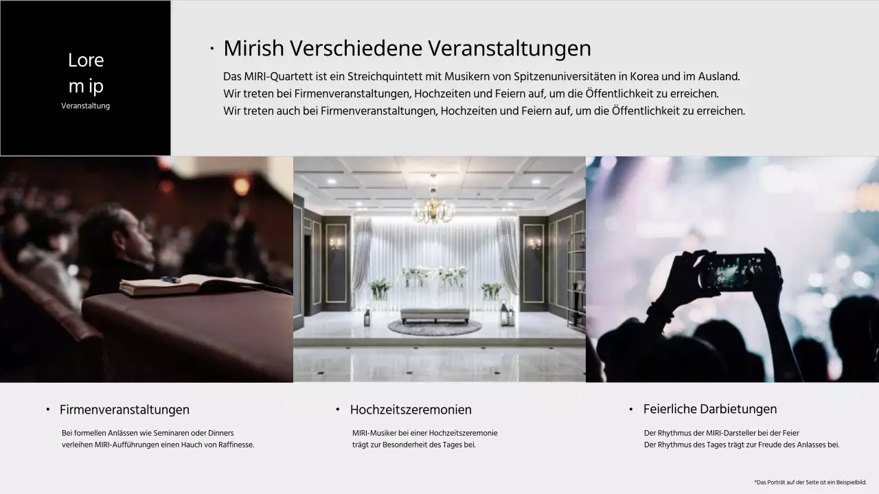 Portfolio der schwarzen und grauen Leistungsgruppe