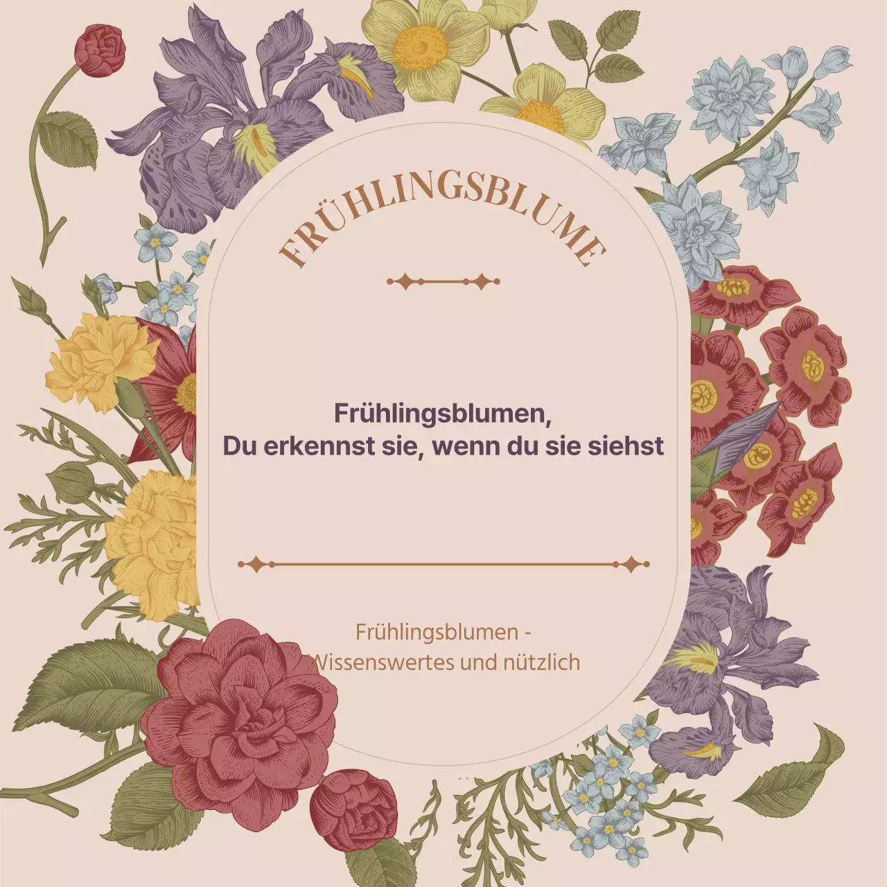 Frühling Blume Konzept der rosa Vintage-Blume volles Konzept