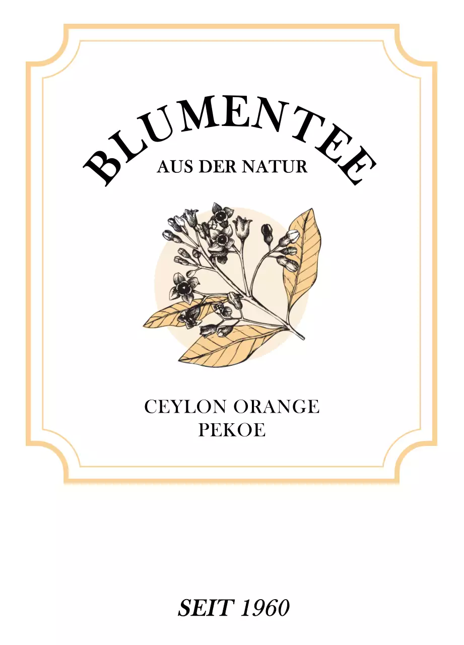 Luxuriöse Teebeutel mit skizzenhaften Illustrationen von Pflanzen und Beeren in pastelligem Orange und Grün