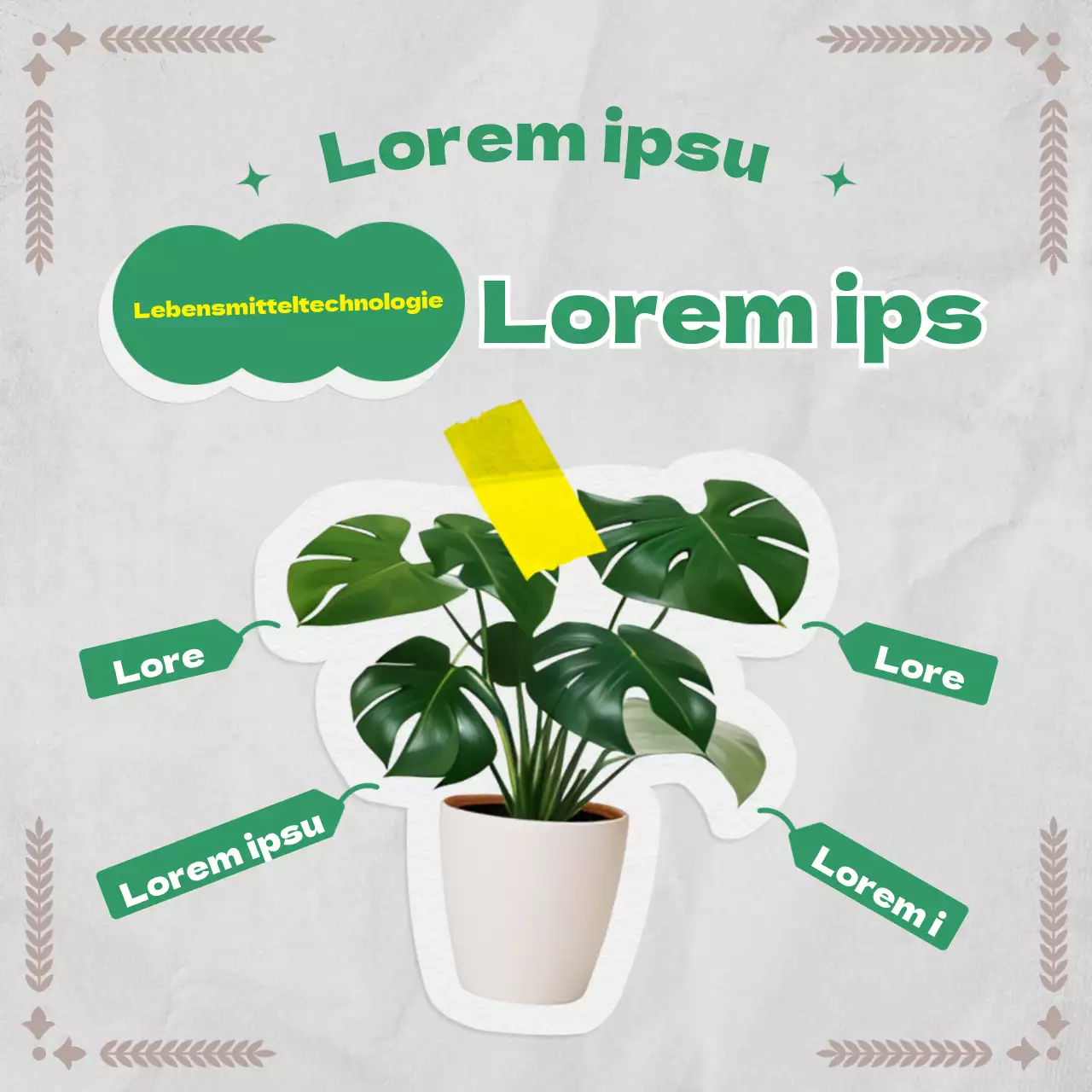 Botanische Informationen in einem Vintage-Papierkonzept mit Grün- und Grautönen