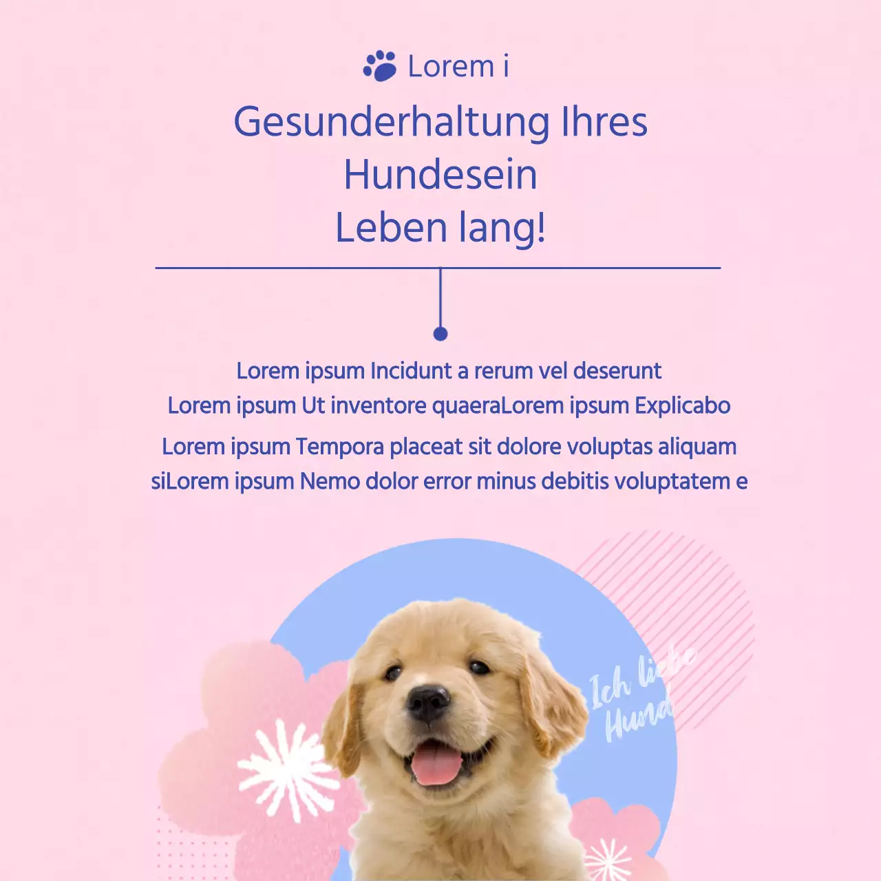 Ein Leitfaden für die Pflege Ihres rosa und hellblauen Welpen