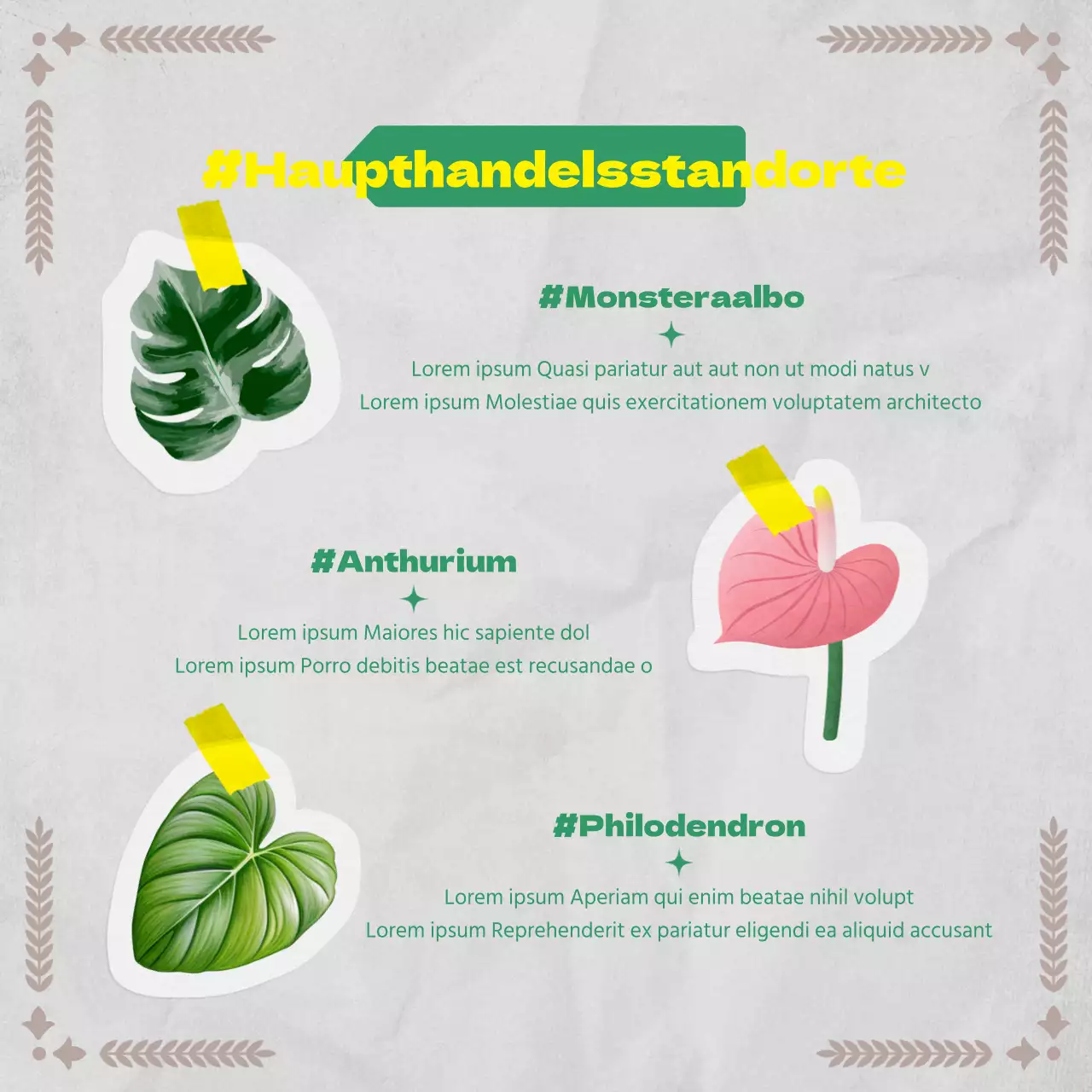 Botanische Informationen in einem Vintage-Papierkonzept mit Grün- und Grautönen