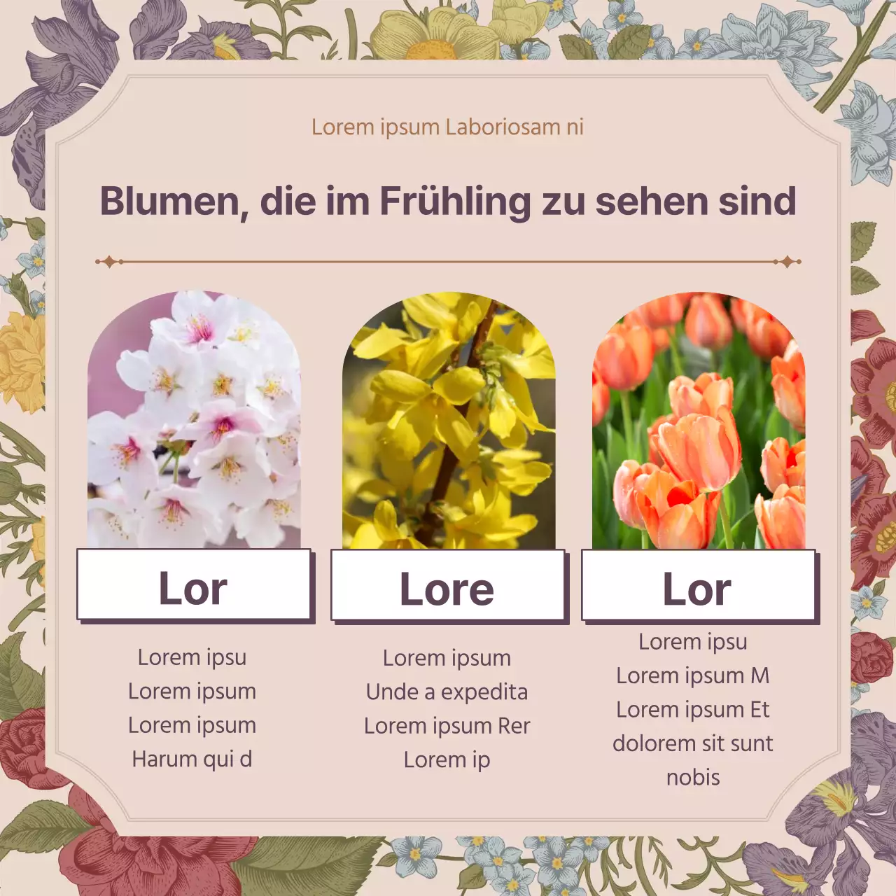Frühling Blume Konzept der rosa Vintage-Blume volles Konzept