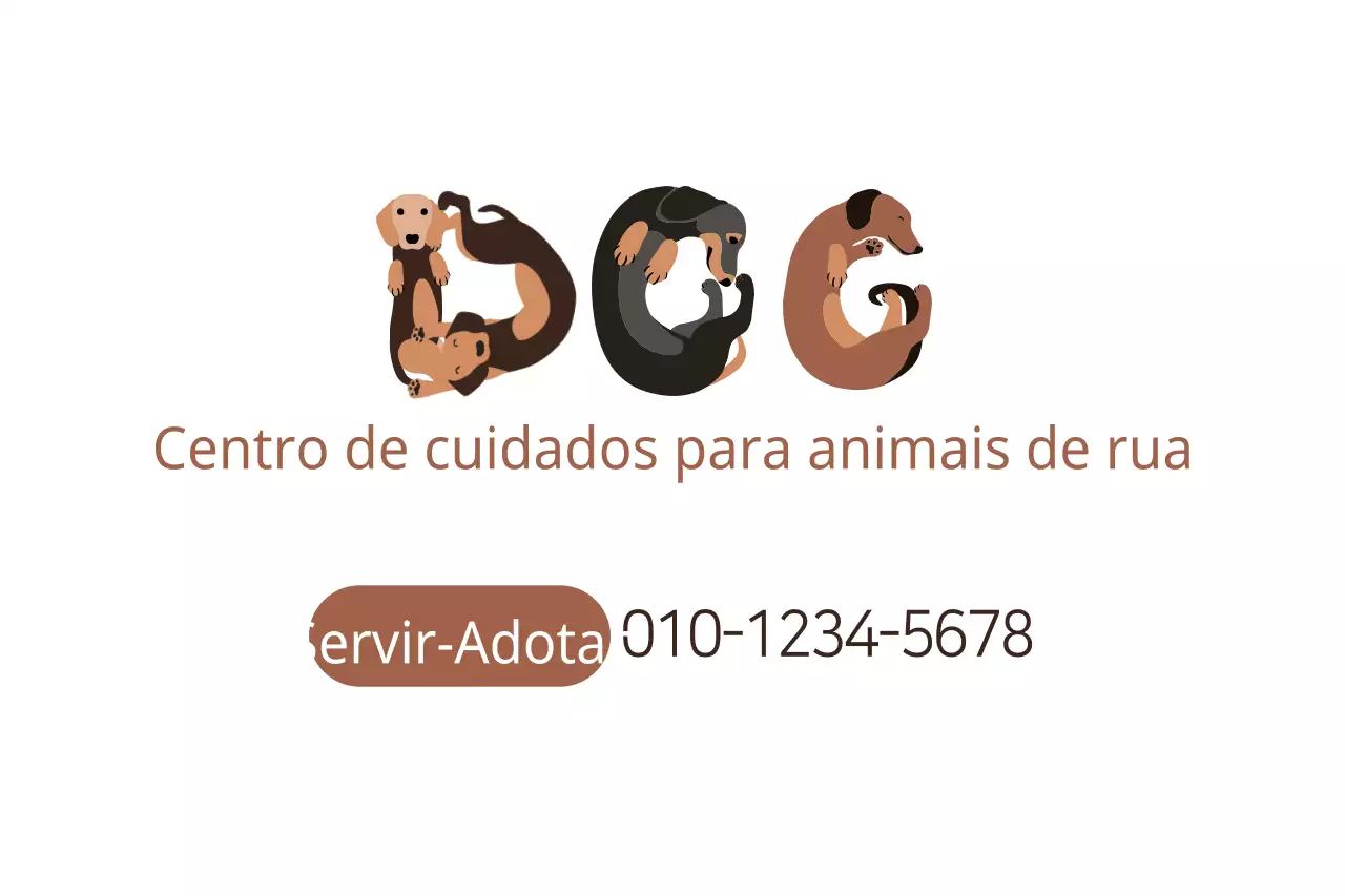 Centro de cuidados para animais de rua