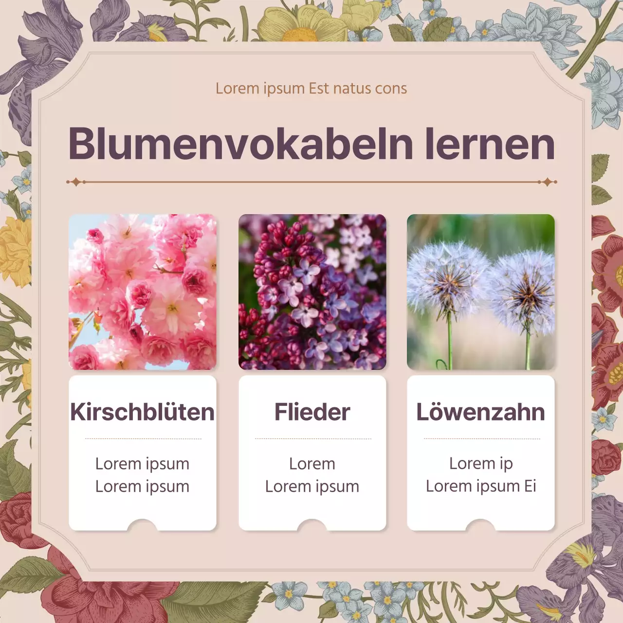 Frühling Blume Konzept der rosa Vintage-Blume volles Konzept