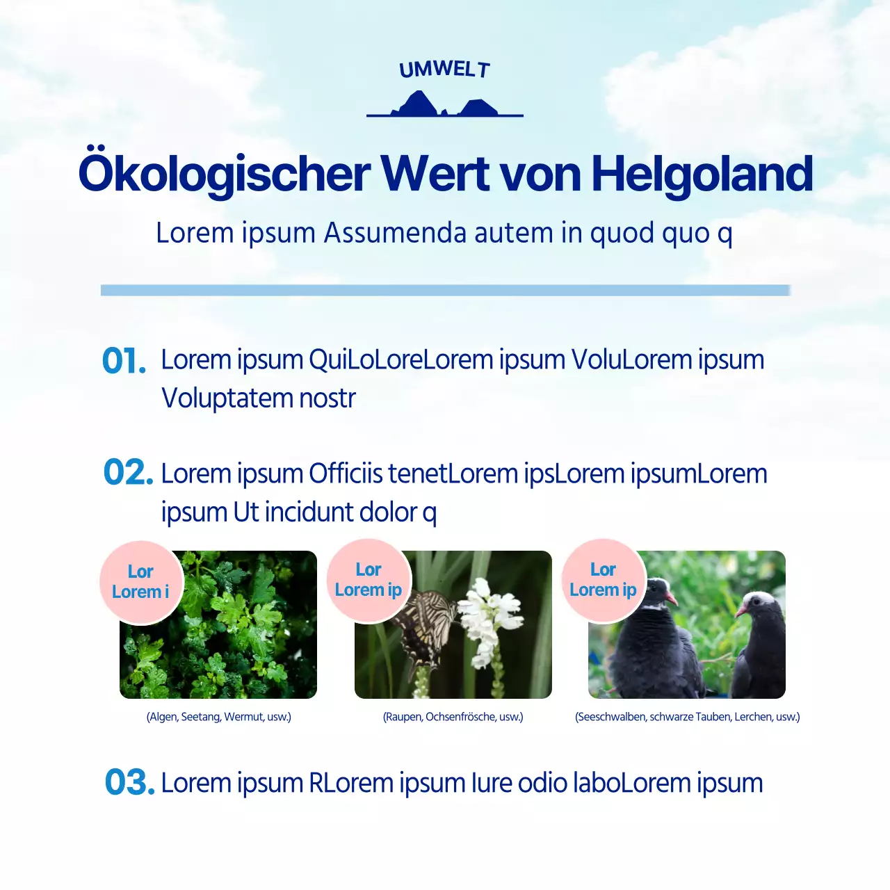 Das hellblaue und marineblaue Dokdo University Outreach Team