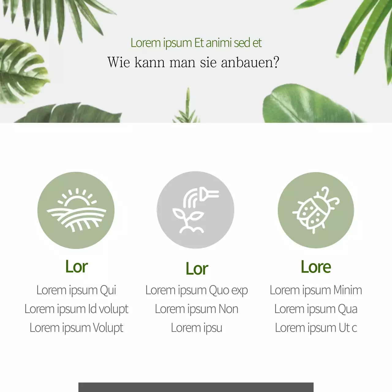 Haustiere, die Feinstaub auffangen