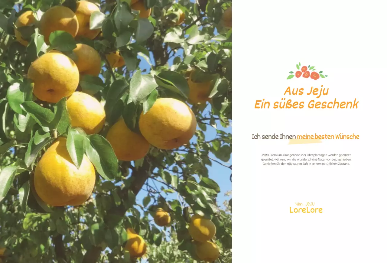 Postkarte mit dem Verkauf von gelben Orangen der Insel Jeju