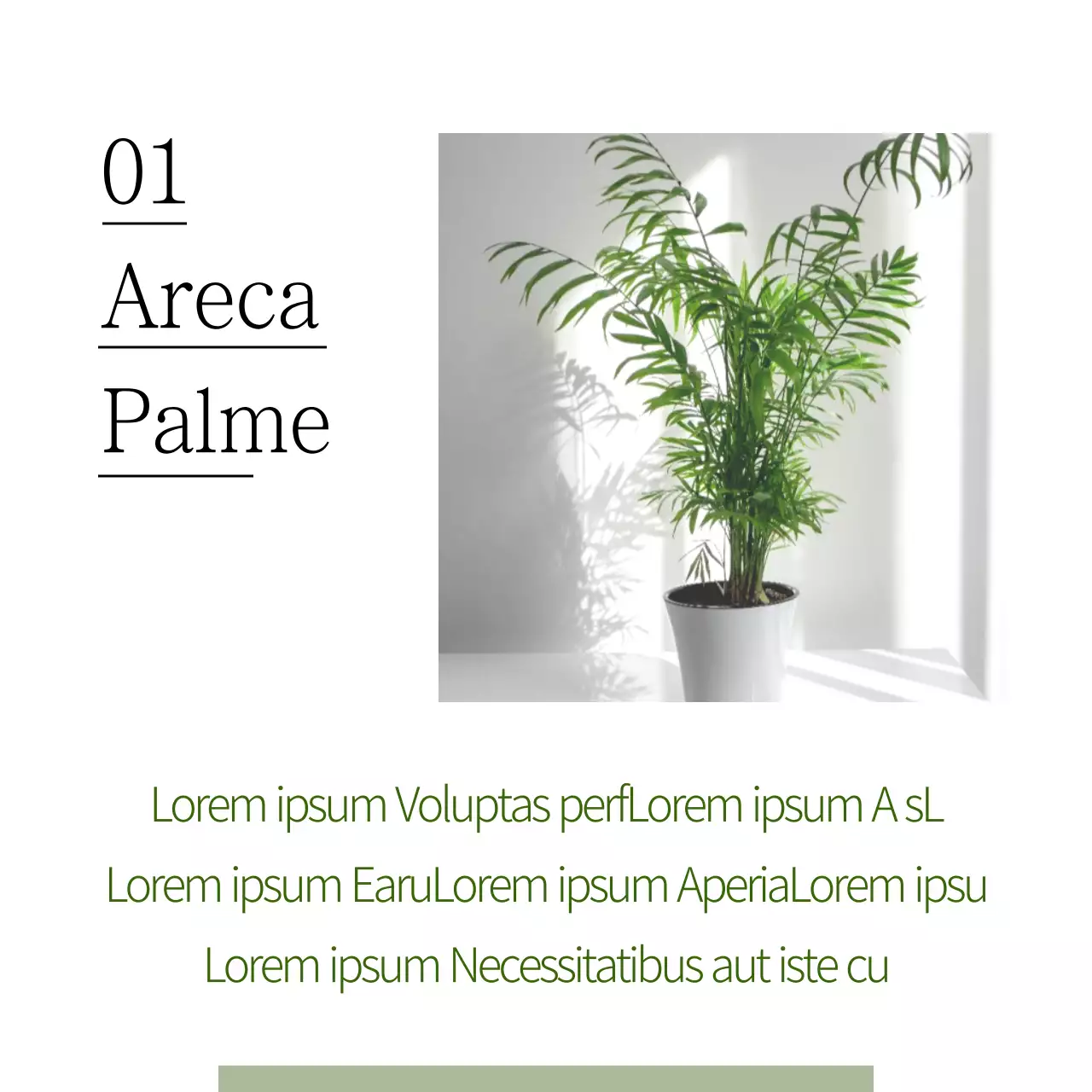 Haustiere, die Feinstaub auffangen