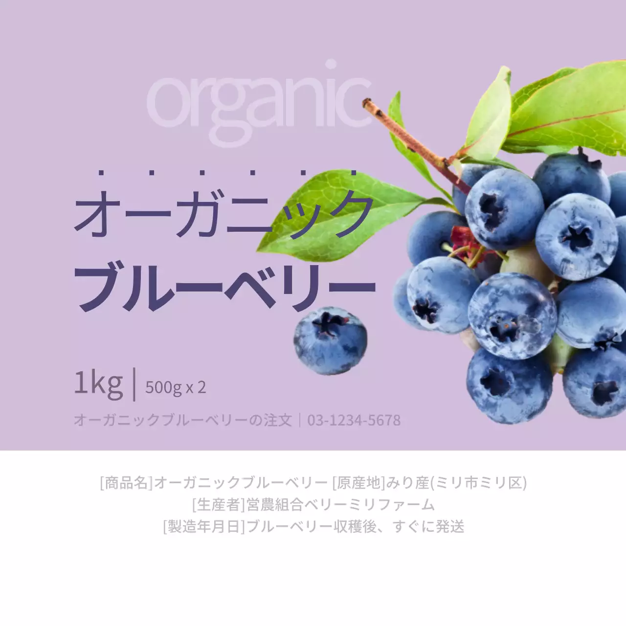 オーガニックブルーベリー