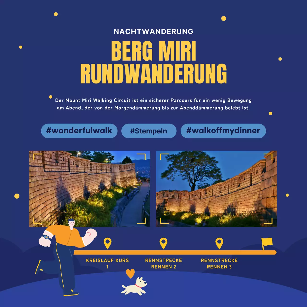 Ein Leitfaden für nächtliche Attraktionen in Marineblau und Gelb