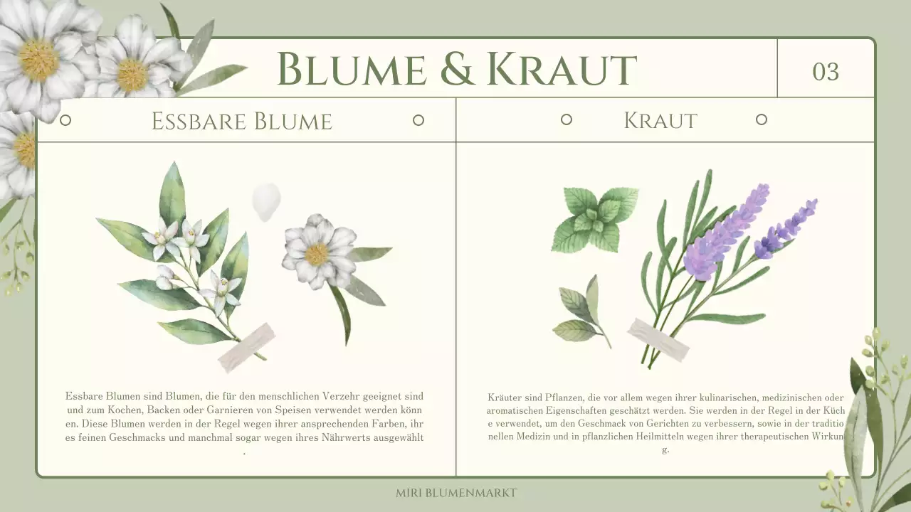 Wissenswertes über essbare Blumen und Kräuter mit einem grünen, gefühlvollen Aquarellthema