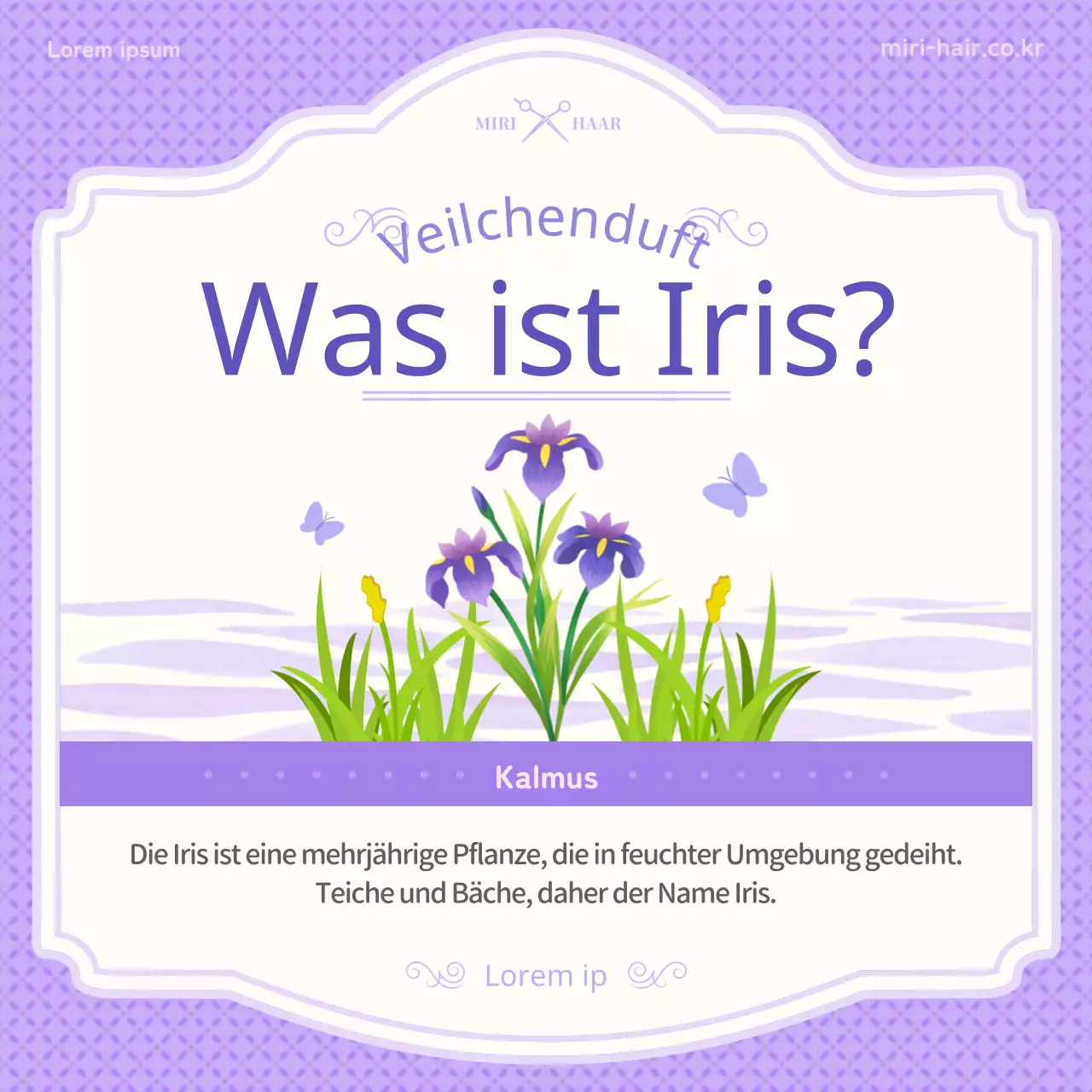 Einführung des lila Illustrationskonzepts von tan'o und Irisinformationen