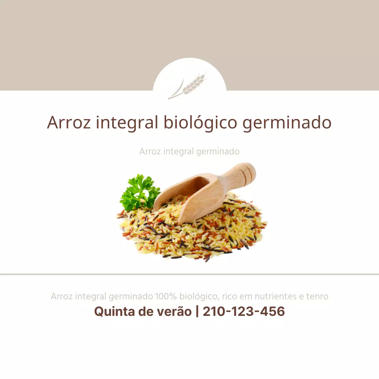 Arroz integral germinado