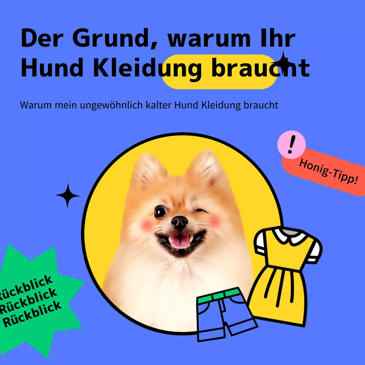 Blaue und gelbe rosa Hundebekleidung Social Media Vorlage