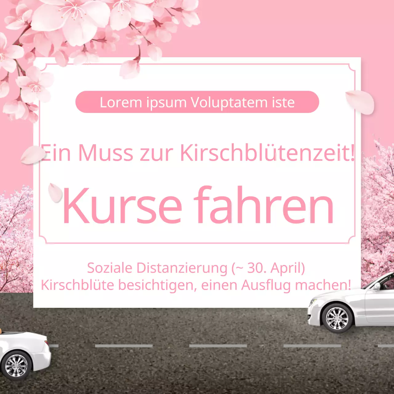 Rosa Frühlingsfahrparcours zur Kirschblütenzeit