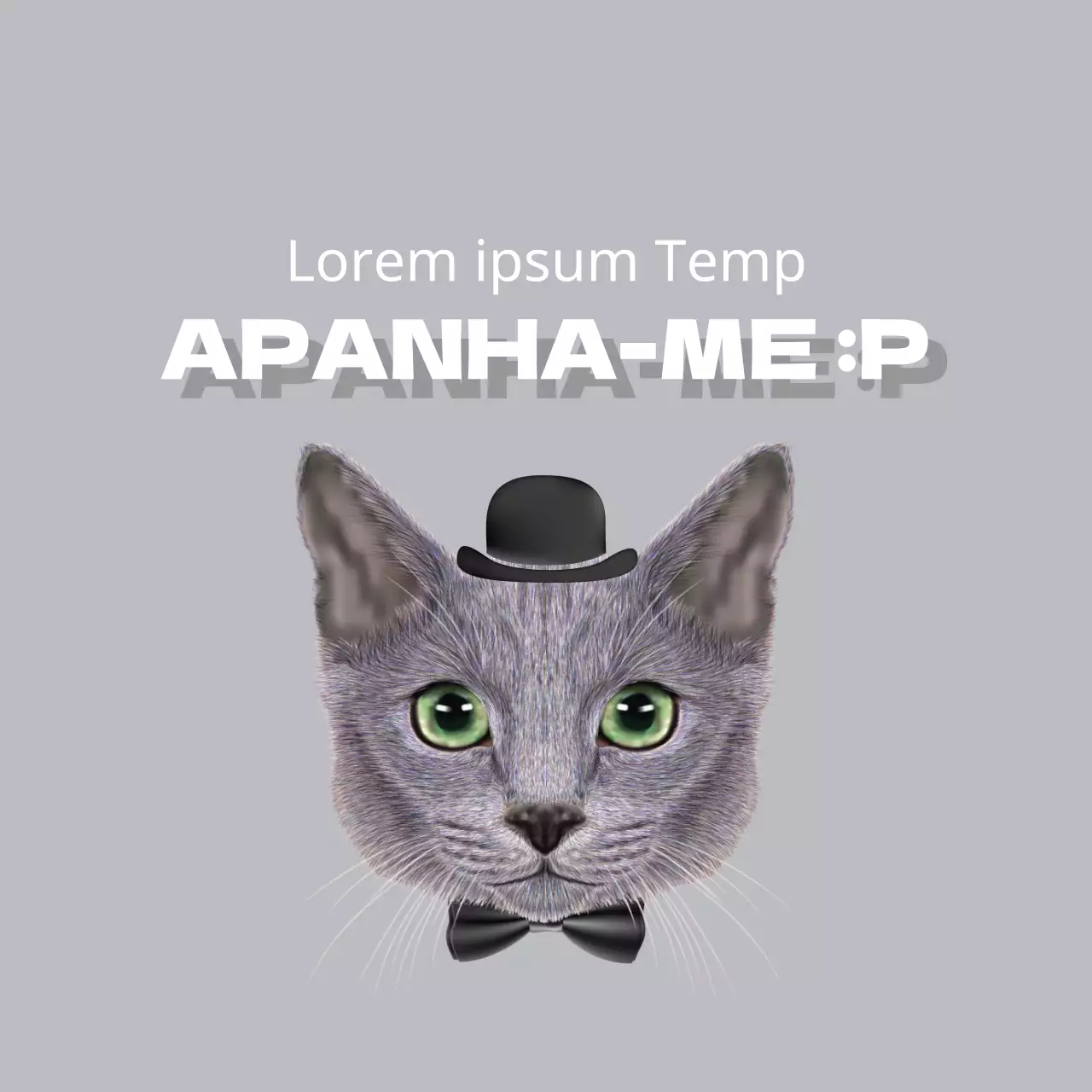 Guloseimas orgânicas premium para cães