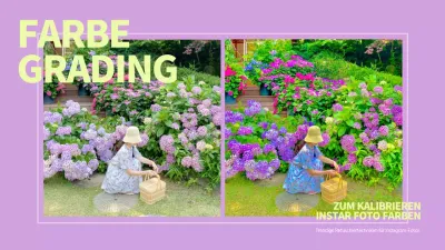 Mauve fluoreszierend Instagram Foto Farbkorrektur YouTube Vorschaubilder