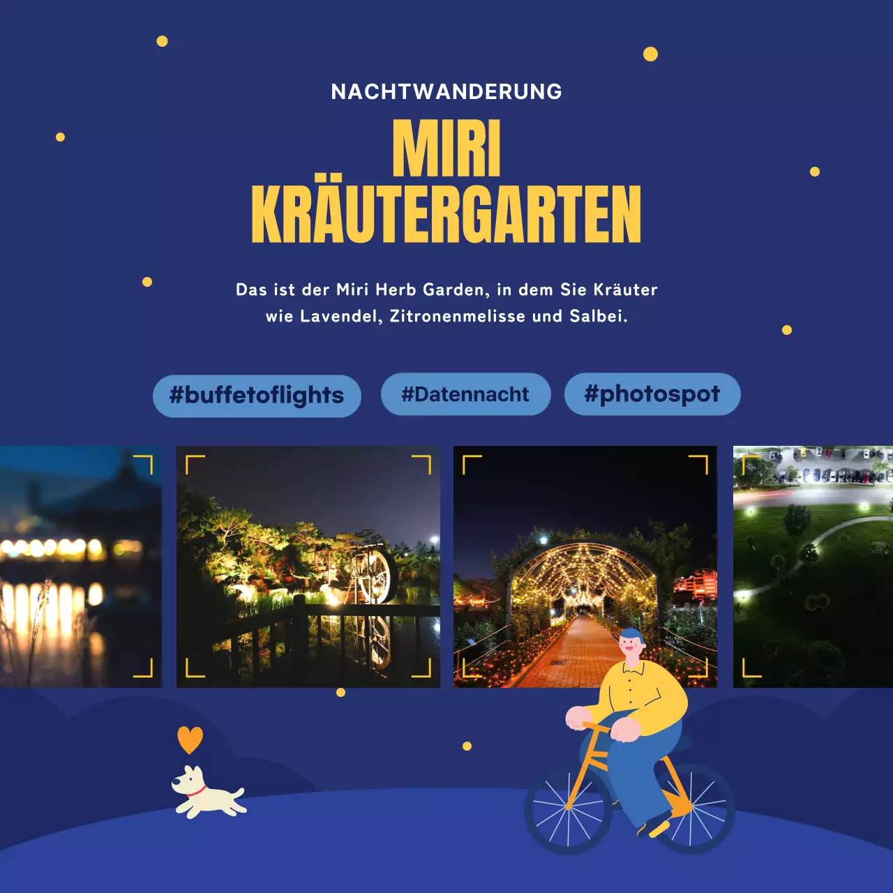 Ein Leitfaden für nächtliche Attraktionen in Marineblau und Gelb