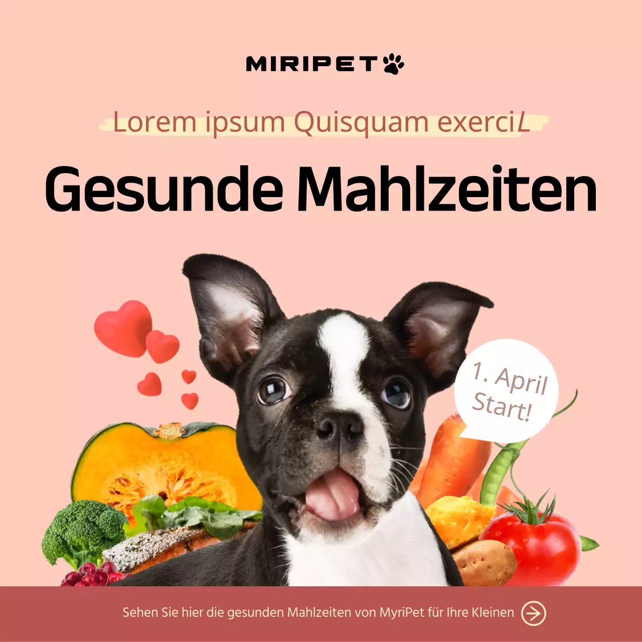 Werbung für Tierfutter mit Fotos von niedlichen Hunden und Zutaten auf einem rosa Hintergrund