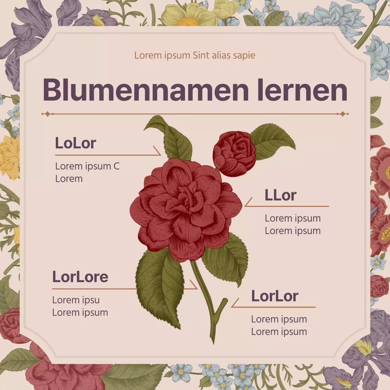 Frühling Blume Konzept der rosa Vintage-Blume volles Konzept