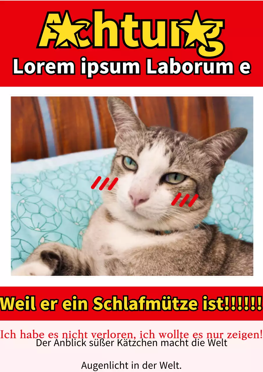 Retro rot-weißer Klasse-B-Tier-Angeber-Flyer