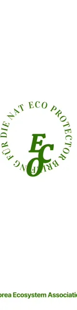 Förderung eines grünen und einfachen Konzepts für ein umweltfreundliches Briefing