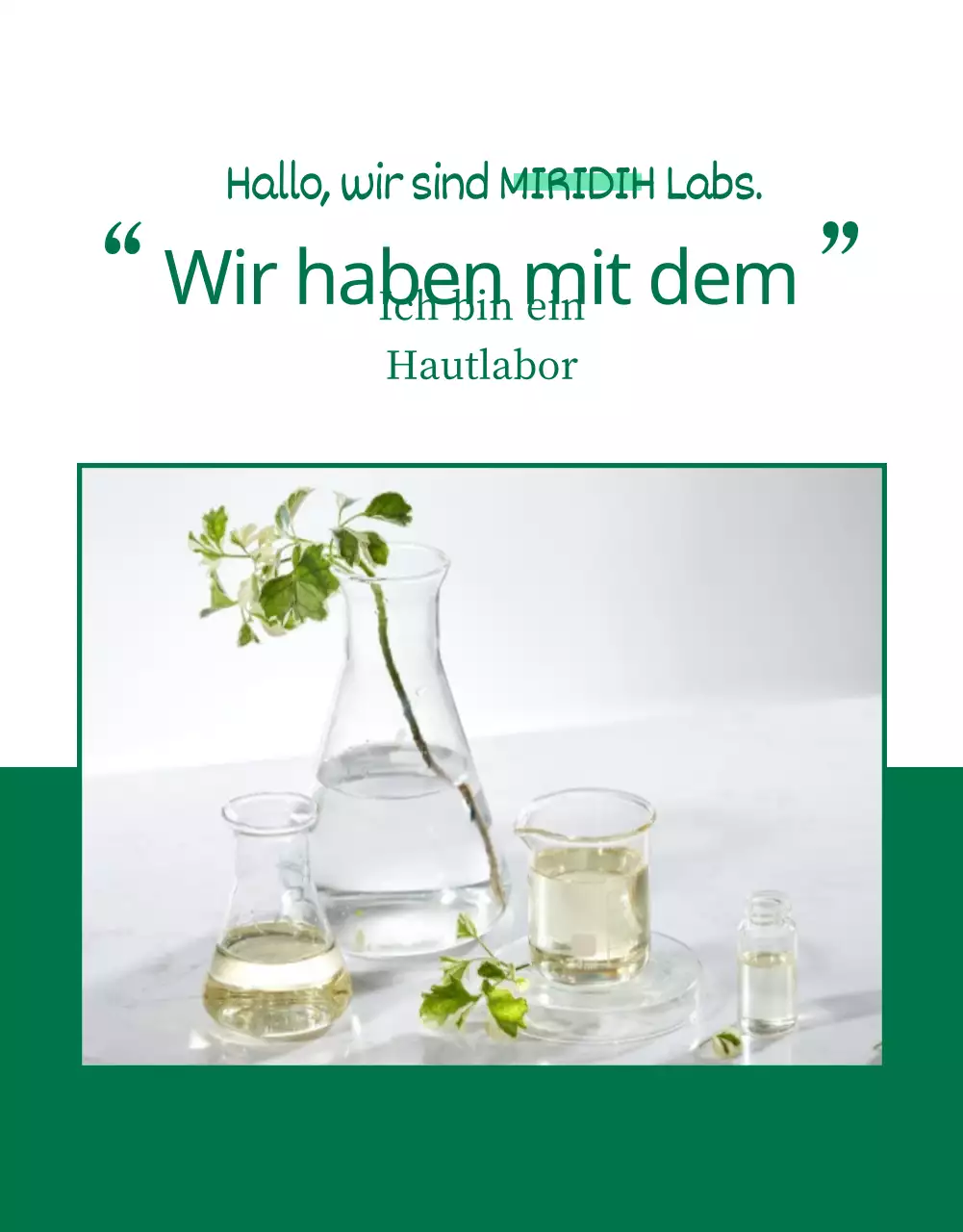 Wadiz Detail Page_Beauty