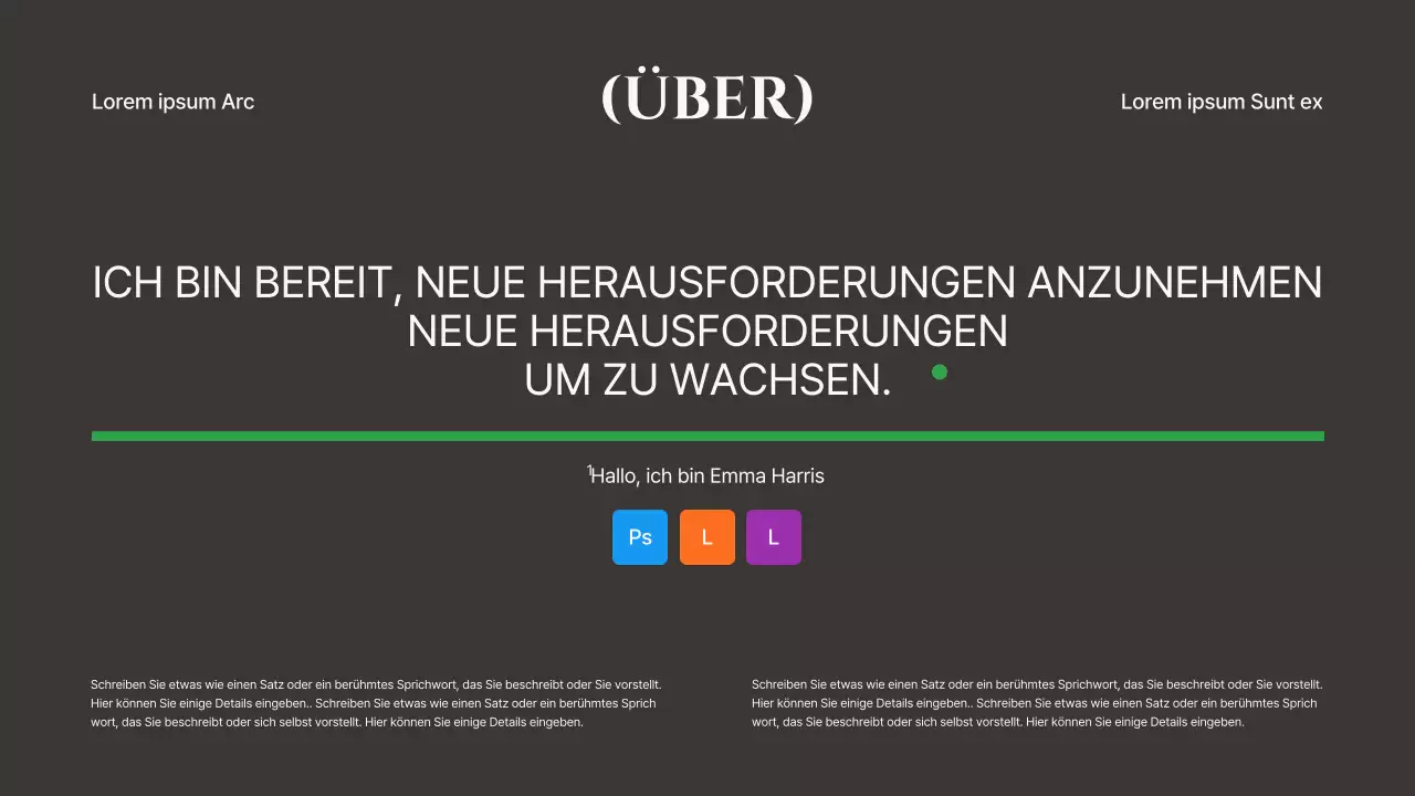 Graue und khakifarbene Linien und Formen Konzeptdesignmappe
