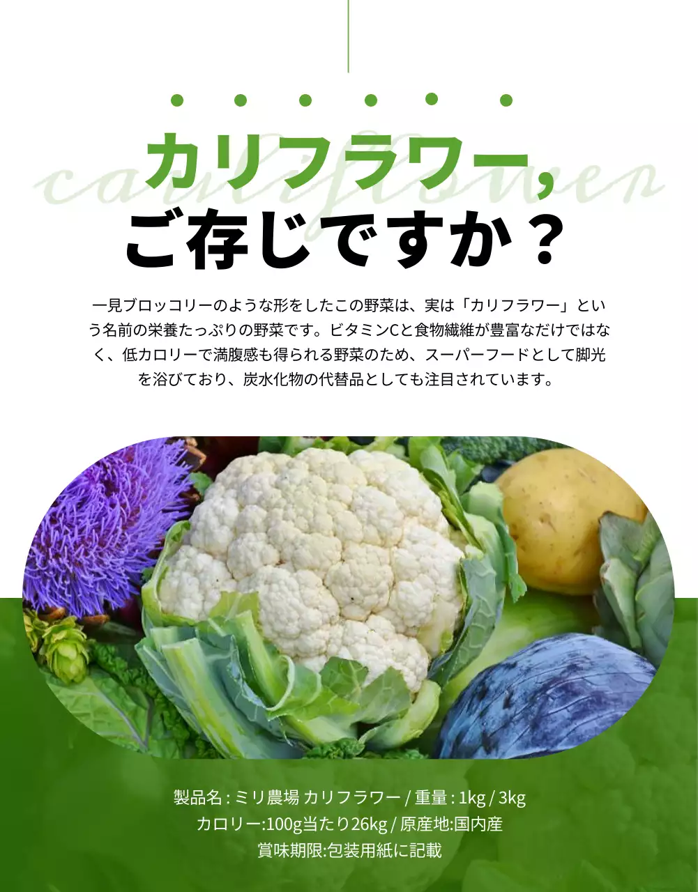 緑 オシャレ 野菜 広告 詳細ページ