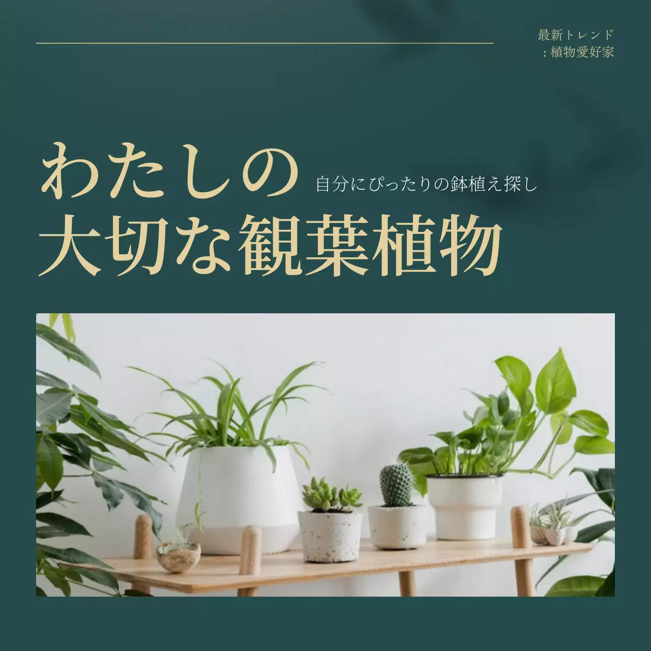 グリーンとゴールドのトレンド観葉植物のおすすめ説明