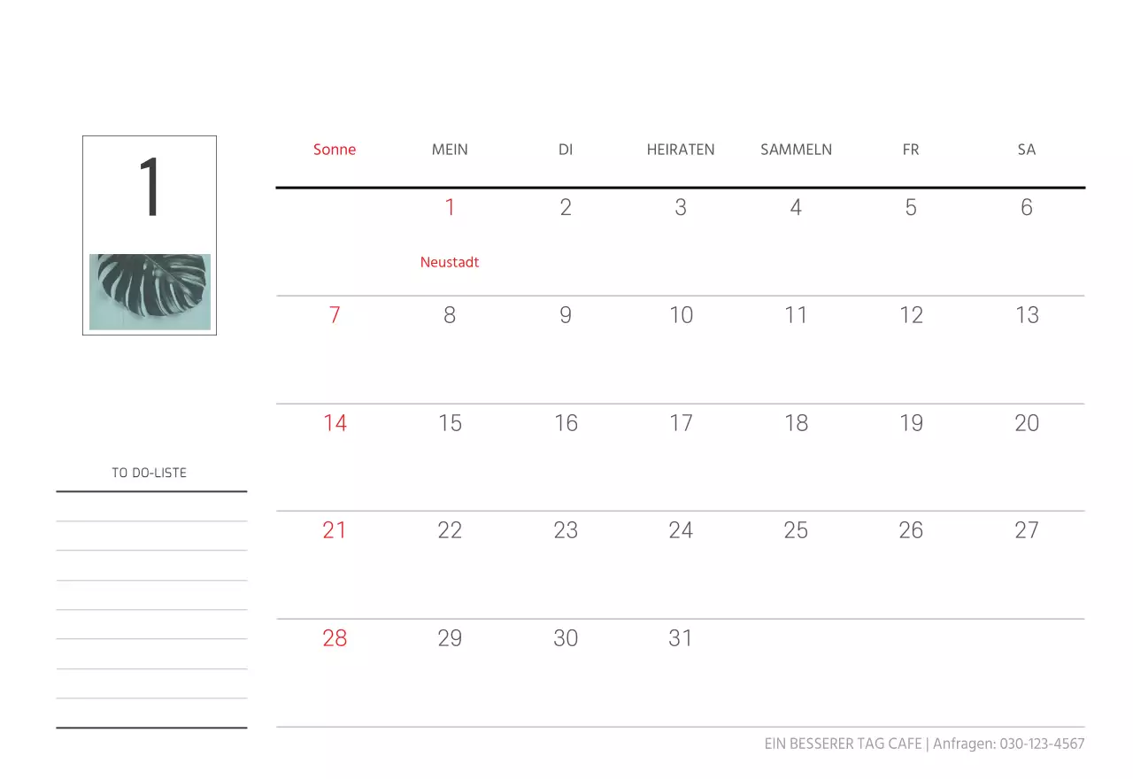 Weiße saubere botanische Natur